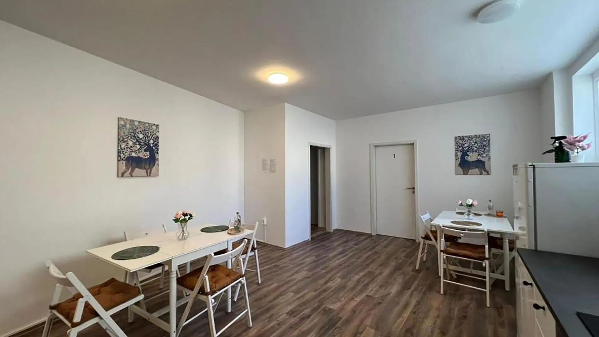Spacious Apartments In Central Cologne, Near The Cathedral